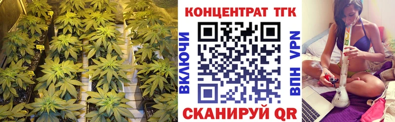 Купить закладки  Пущино  Дистиллят ТГК Wax 