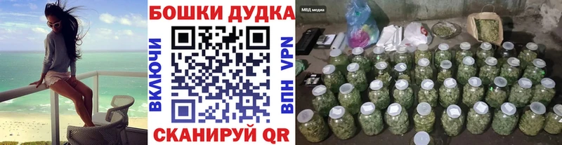 Конопля семена  Купить  Пущино 